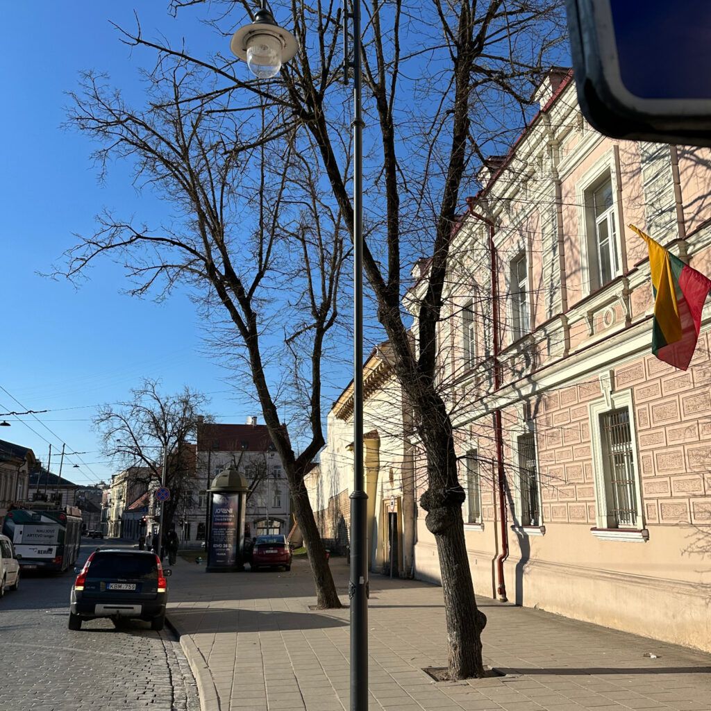 Große Stadtlaterne, auf den Straßen von Litauen